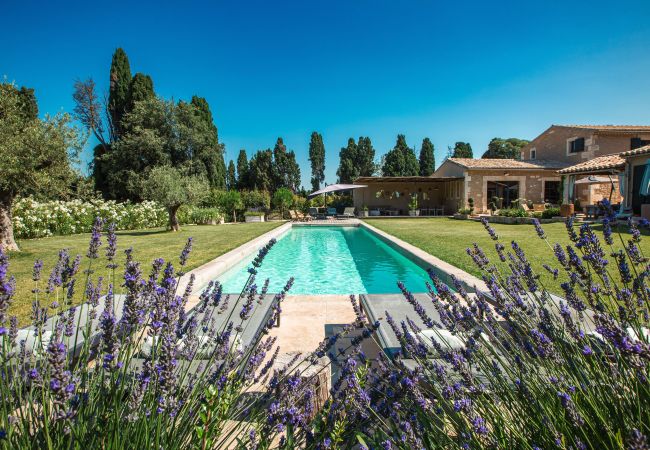 Huis in Saint Remy de Provence - 3025 - Mas Farniente