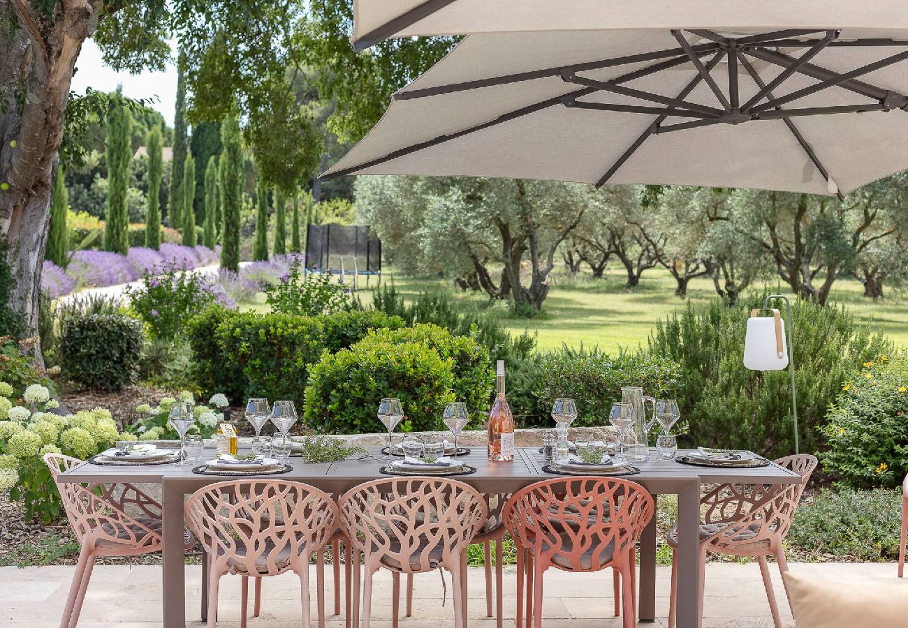 House in Saint Remy de Provence - 3032 - La Carte Postale