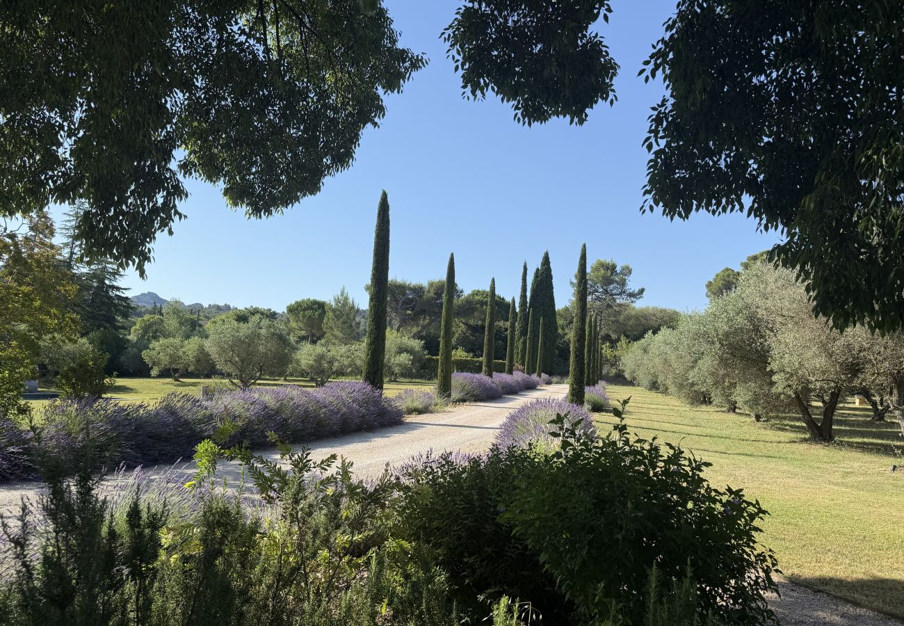 Huis in Saint Remy de Provence - 3032 - La Carte Postale